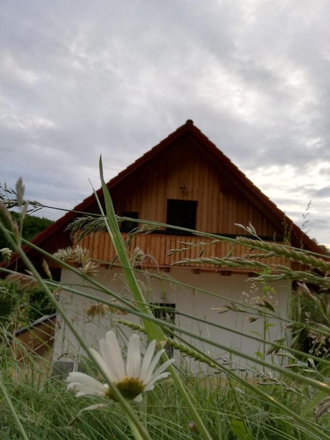 Bioferienhaus Muster - Dominkusch Possnitz المظهر الخارجي الصورة